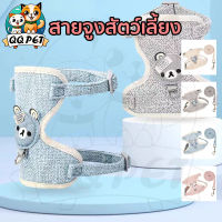 QQPET สายจูงสัตว์เลี้ยง สายจูงสุนัข แมว สายจูงแมว ลายการ์ตูนหมี พร้อมสายโซ่จูงสุนัข สายจูงแมวเล็ก