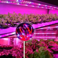 ○ Phyto Grow แถบไฟ Led สำหรับ Grow ไฟ Led โคมไฟสำหรับพืช Phytolamp ต้นกล้าเติบโตเติบโต