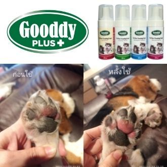 gooddy-plus-pet-paw-cleaning-foam-โฟมล้างเท้าสุนัข-แมวและสัตว์เลี้ยง-ไม่ต้องล้างน้ำออก-ธรรมชาติ100-นาโนเทคโนโลยีจากอเมริกา