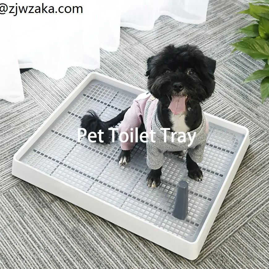 How Do You Train A Yorkie To Pee On A Pad