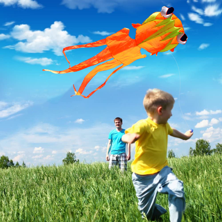 cw-1-pc-goldfish-kite-goldfish-kite-goldfish-kite-animal-kite-for-outdoors