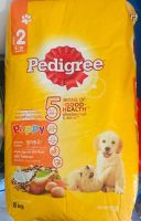 PEDIGREE® Dog Food Dry Puppy Chicken and Egg Flavour เพดดิกรี®อาหารสุนัขชนิดแห้ง แบบเม็ด สูตรลูกสุนัข รสไก่ไข่และนม 15 kg 1 กระสอบ