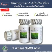 Wheatgrass &amp; Alfala Plus ผักเม็ด อัลฟัลฟ่า สูตรดั้งเดิม ( 3 กระปุก 360 แคปซูล )