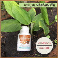 กระชายผง250มก.Giffarinกระชายพลัสปลอดภัยทานได้ต่อเนื่อง/รหัส41038/จำนวน1กระปุก(60แคปซูล)??ควรไปตำด่วน??