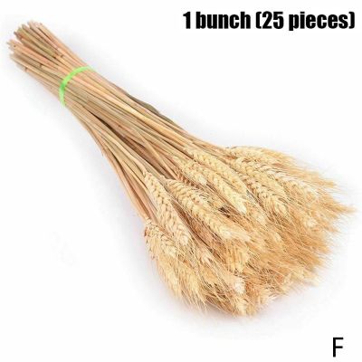 （A SHACK） 25Pcs ColorfulDried Flowers BouquetPlants Bunches 2022 New Year Chrismas Wedding Decoration DIYHome Decor