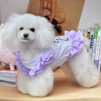 Cute Embroidery Butterfly Pet Dogs Dress Pet Clothing Dogs Clothes Small Costume Puppy Skirt Dresses