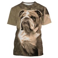 2023Animal French Bulldog 3D Print T-shirts Men Women Summer Fashion Casual O-Neck Short Sleeve Harajuku Streetwear Oversized Tops