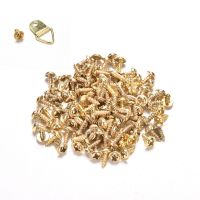 Rayua 100X กรอบรูปแขวนสามเหลี่ยม D Rings hooks hooks with SCREWS GOLD