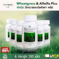 (6 กระปุก สุดคุ้ม!) ? ผักเม็ด Wheatgrass &amp; Alfalfa Plus ผลิตภัณฑ์อาหารเสริมแอมสตรอง วีทกราส อัลฟัลฟ่า ผักเม็ดแบบสกัดเย็น สูตรดั้งเดิม