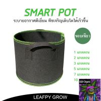 [สินค้าพร้อมจัดส่ง]⭐⭐กระถางผ้า Smart pot 1/2/3/5/7/10 แกลลอน กระถางปลูกต้นไม้[สินค้าใหม่]จัดส่งฟรีมีบริการเก็บเงินปลายทาง⭐⭐