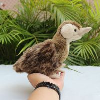 สมจริง Clapper Rail High Fidelity น่ารัก Plushie Weka Crake Plush ของเล่นเหมือนจริงสัตว์จำลองตุ๊กตาตุ๊กตา Kawai ของเล่นของขวัญ