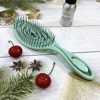 【CC】 Biodegradable Detangling Hairbrush Soft Vent Wet Lightly Pull Hair Loss Antistatic Massage