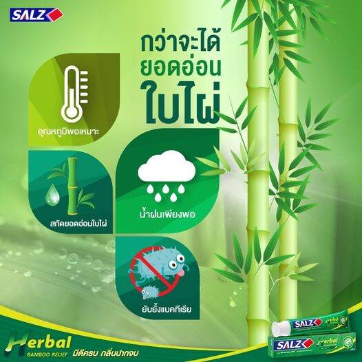 salz-ยาสีฟัน-ซอลส์-ขนาด-140-กรัม-แพ็ค-2-ฟรี-1-ของแถมรวมอยู่ในแพ็ค-ยาสีฟันซอลส์-เค็ม-แต่ดี-ลดกลิ่นปาก-ลมหายใจหอมสดชื่นยาวนาน