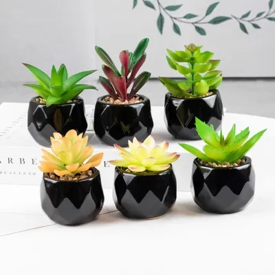 2022 NEW black ceramics Potted Artificial Green succulent plants Bonsai set fake Flower with vase Home Balcony Decoration