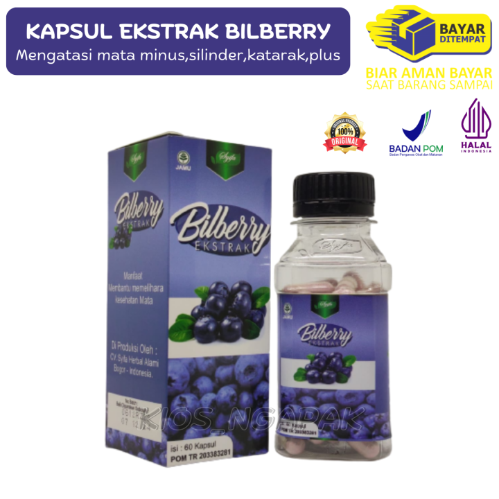 Kapsul Bilberry 60 KPSL Syifa Herbal Kesehatan Mata Herbal Mata