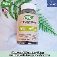 คลอโรฟิลล์ แบบกัมมี่เม็ดเคี้ยว รสผลไม้รวม Chlorophyll Gummies Healthy Skin and Body Detox, Orchard Fruit Flavored 60 Gummies - Natures Way