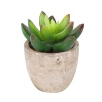 New Artificial Succulent Plants Mini Artificial Bonsai Fake with Pots Decorative Ball Plants Artificial Flower Mini Plants