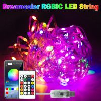 Dreamcolor USB LED String Lights Bluetooth Control Smart Fairy Light WS2812B RGBIC Christmas Lamp For Wedding Garden Decoration Fairy Lights