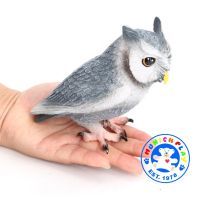 Munich Play - โมเดล Owl นกฮูก นกเค้าแมว เทา ขนาด 12.00 CM (จากหาดใหญ่)