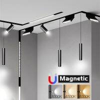 Embedded Magnetic LED Track Light Adjustable Foldable Ceiling Flood Grille Lamps Indoor Bedroom Linear Rail Spot Lighting System