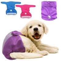 Ohbabyka Brand Pet Physiological Pants S M L Diaper Sanitary 2019 Washable Cloth Diapers Shorts Panties Menstruation Underwear Cloth Diapers