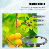 Fruit Tree Shaper Branch Bender Plant Trainer Bending Clips Twig Clamps Bonsai Shaped Twig Clip Bending Tool