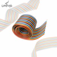 Hot Selling 1Meters Rion Cable 20 WAY Flat Color Rainbow Rion Cable Wire Rainbow Cable 20P Rion Cable 1.27MM Pitch Dupont Line Diy Kit