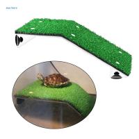 Turtle Basking Platform Fish Tank Aquarium Ramp Tortoise Resting Terrace Cups  Mugs Saucers