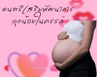 ดนตรีเสริมพัฒนาการลูกน้อยในครรภ์  คนท้องต้องฟัง ลูกฉลาด อารมณ์ดี  ให้เด็กในครรภ์ พัฒนาการลูกในท้อง