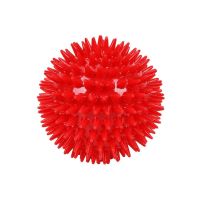 【A Smart and Cute】ของเล่นสำหรับสัตว์เลี้ยง Dog Squeaky Ball Spike Fetch Chewing Teething Wear Resistant To Bite For