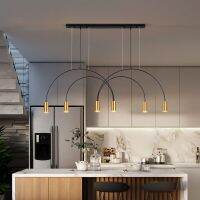 Nordic Geometric Lines Arched Shape Pendant Light Black Gold Modern E27 LED Hanging Lamp for Dining room Cloth Store Bar Lamp