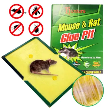 Green Killer Mouse & Rat Sticky Glue Trap Board Pest Control Rats Catcher  Papan Pelekat Tikus