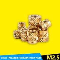 200PCS Female Thread Brass Knurled Inserts Nut Heat Set Insert Nuts Embed Parts Pressed Fit into Holes for 3D Printing M2 M2.5 Nails Screws Fasteners