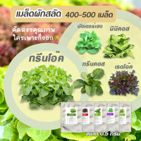 เมล็ดพันธุ์สลัดคุณภาพ  ขนาด0.5กรัม ประมาณ 400-500 เมล็ด