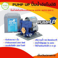 PUMP UP ปั๊มน้ำอัตโนมัติถังแรงดันขนาดเล็กมีฝาครอบ 250W. AUTO250C. บริการเก็บเงินปลายทาง