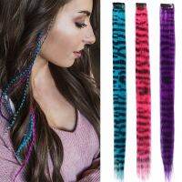 10Packs Synthetic Multicolor Colored Clip in Feathers Hair Extensions 46CM Girls Hairpiece Piano Feathers Hair Extensions Wig  Hair Extensions  Pads