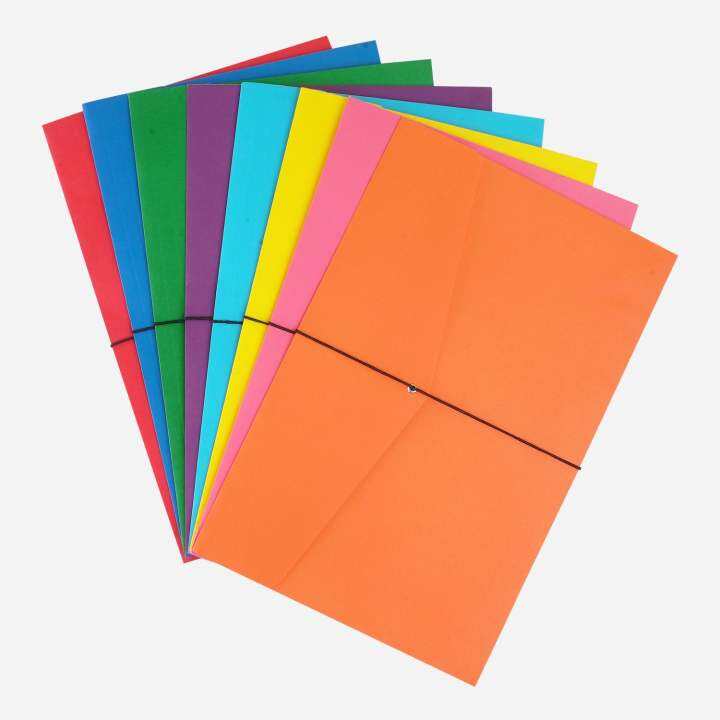 EXPANDED Colored Envelope Long Lazada PH