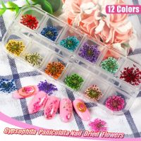 【CW】 1Box Dried Set Decorations Mixed  Nails Decals Dry Floral Valentine  39;s Day UV Gel Manicure Tips 12Colors
