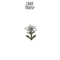 เข็มกลัด Edelweiss เข็มกลัดติดเสื้อ Enamel Pin จาก Plant House