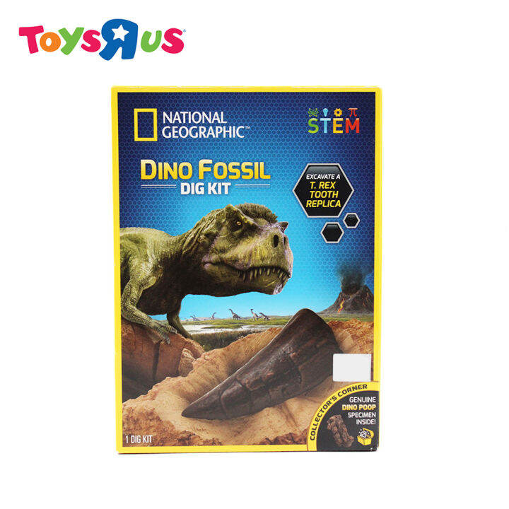 National Geographic Dino Fossil Dig Kit Lazada PH