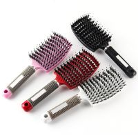 【CW】 Bristle  amp; Hairbrush Scalp Massage Comb Wet Hair