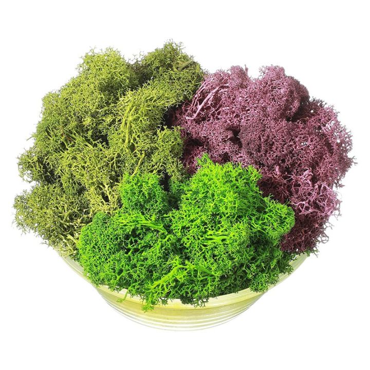 Party Decorations Potted Garden Immortal Natural Dry Moss Wedding Crafts Floral Background Moss Immortal Flower Artificial, Size: 12