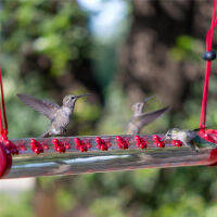 Hummingbird Feeder With Hole Birds Feeding ท่อโปร่งใสใช้งานง่ายของใช้ในครัวเรือนแบบดั้งเดิม Garden Feeding Supplies With Hole