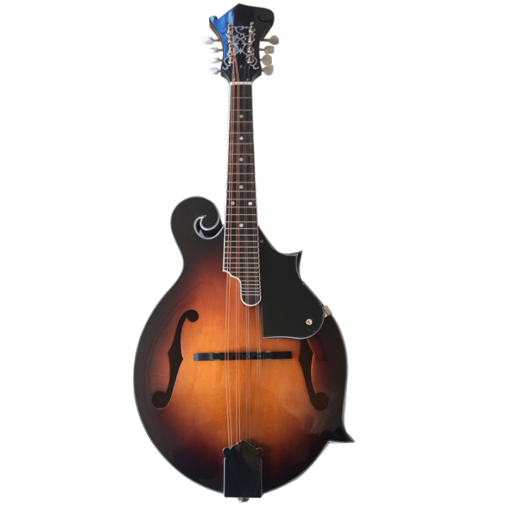 American Style Mandolin Missing Angle F Type 8 Strings Guitar Mandolin ...