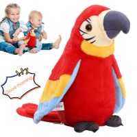 【LZ】卍✜  Electric Talking Parrot Plush Toy Repete o que você diz Boneca de pelúcia macia Brinquedos interativos para crianças Presentes de aniversário