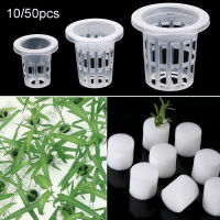 10/50pcs Nursery ฟองน้ำ Soilless Hydroponic ผัก Nursery Pots ปลูกดอกไม้ตะกร้าเมล็ดการเพาะปลูก Soilless การเพาะปลูกระบบ SEED ถาด