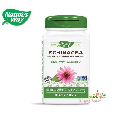 Natures Way Echinacea Purpurea Herb 400 mg 180 Vegan Capsules เอ็กไคนาเซีย 180 วีแกนแคปซูล