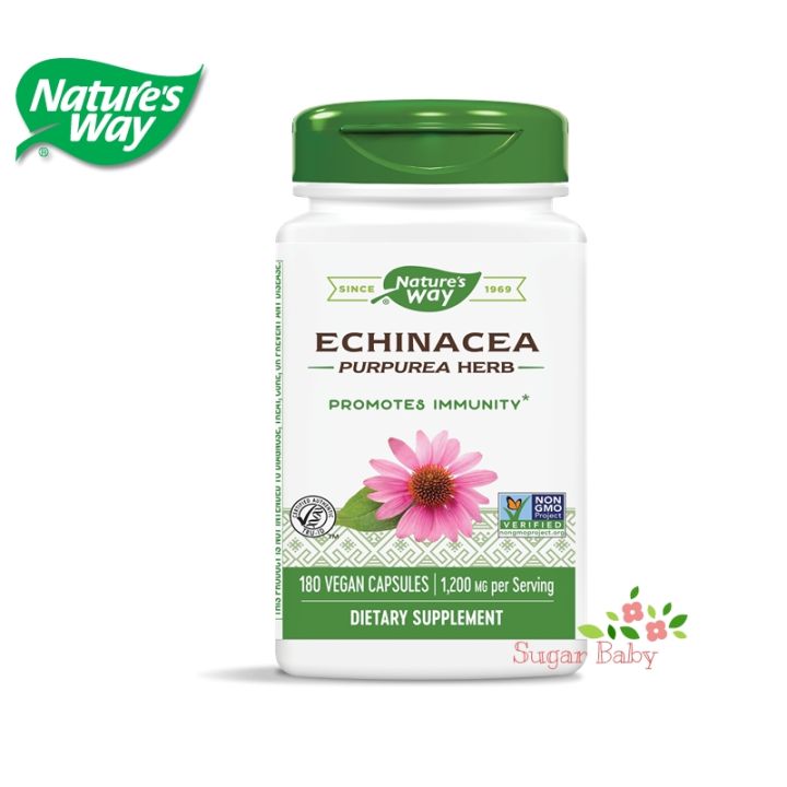 natures-way-echinacea-purpurea-herb-400-mg-180-vegan-capsules-เอ็กไคนาเซีย-180-วีแกนแคปซูล