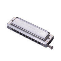 Swan Chromatic Harmonica 10หลุม40โทนคีย์ C Silver Harmonica เครื่องดนตรีพร้อมกล่องสวยงามของขวัญเพลงสำหรับเด็ก