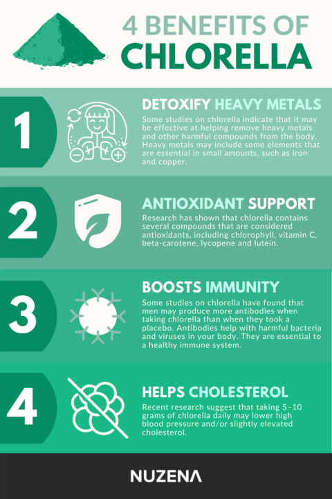 ผลิตภัณฑ์เสริมอาหาร-คลอเรลล่า-sun-chlorella-a-500-mg-120-tablets-สุดยอดอาหารจากธรรมชาติ